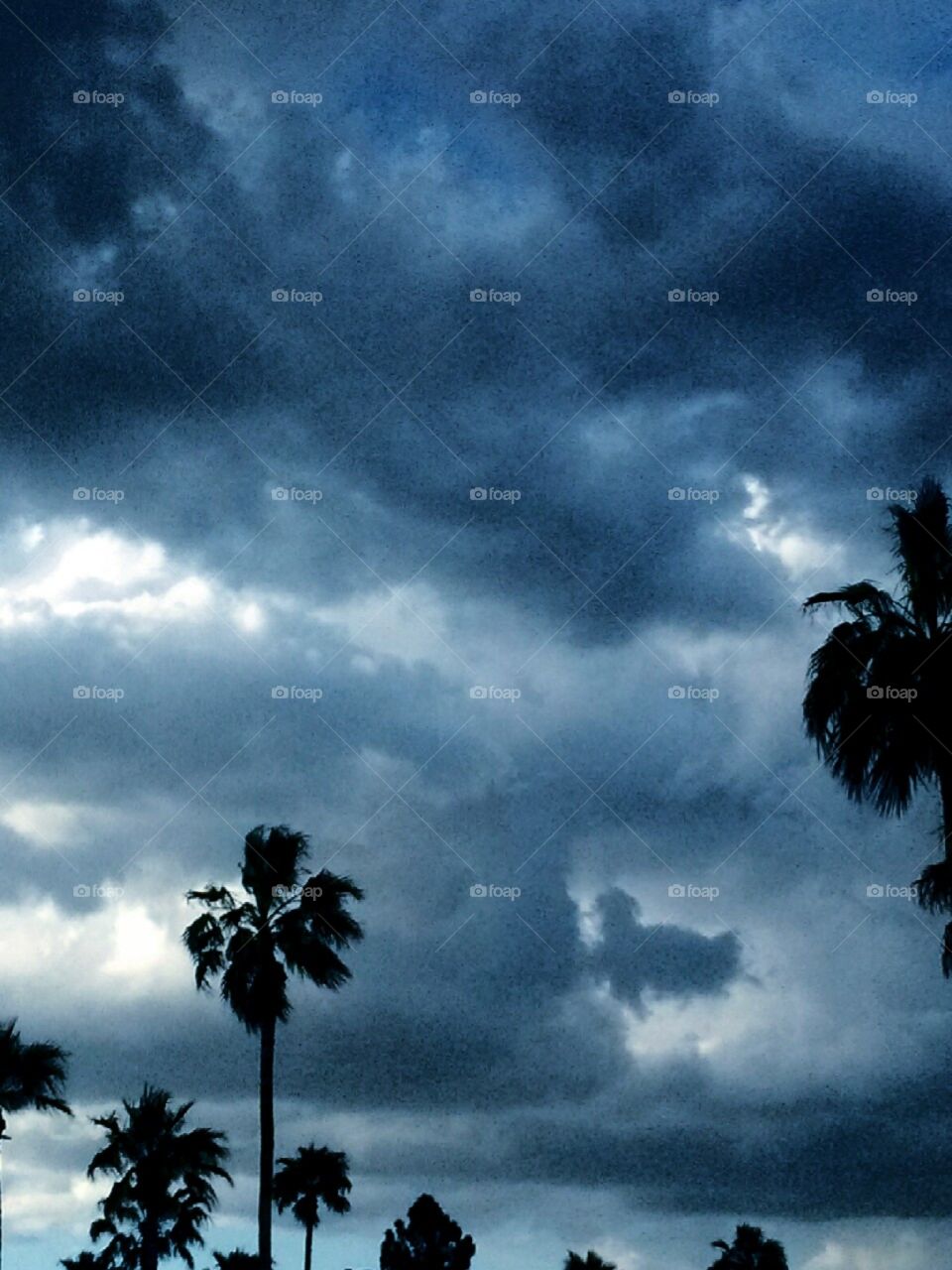 CLOUDS THAT MAKE THE SKY

The Clouds here are what make 
This Sky pop out like one i 
Cannot deny, of gloomy, and
Incredible,  Amazing Wonder.
With the Palm Trees  completely
A Wonder to behold, such a 
Picture of An Eye to With hold.
In ones mind, by putting them 
All together has almost a 
Story in Time, like a picture 
On an Upscale Epic, or one that 
Is like a picture from a movie
Like Wuthering Heights or 
Dorian Grey or even better yet,
The Hurricane.  I may be going 
Overboard a bit, but , this is 
What my mind thinks as i come
With a Caption to make a comment. On this photo, which
I hope i didn't  go to much 
Over and Out a bit.