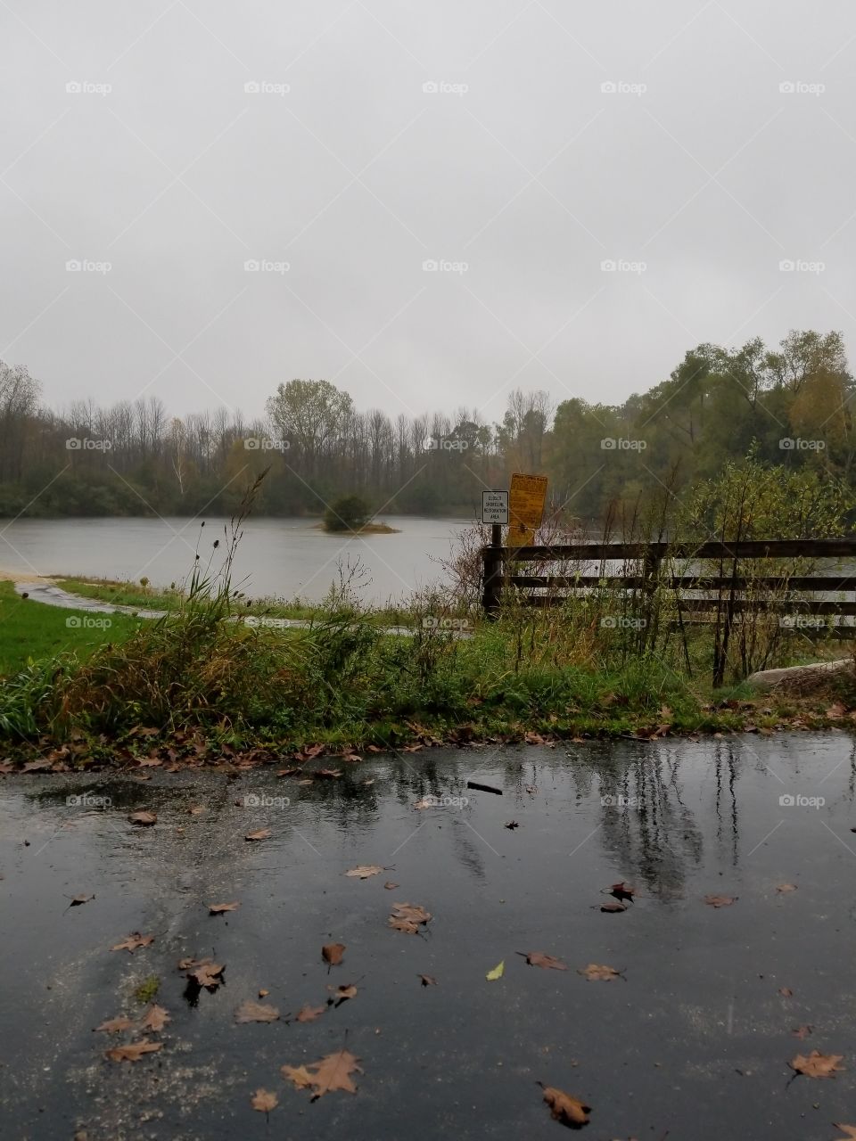 A Beautiful Rainy Autumn Day In Wisconsin Through A Raindrop Covered Windshield.