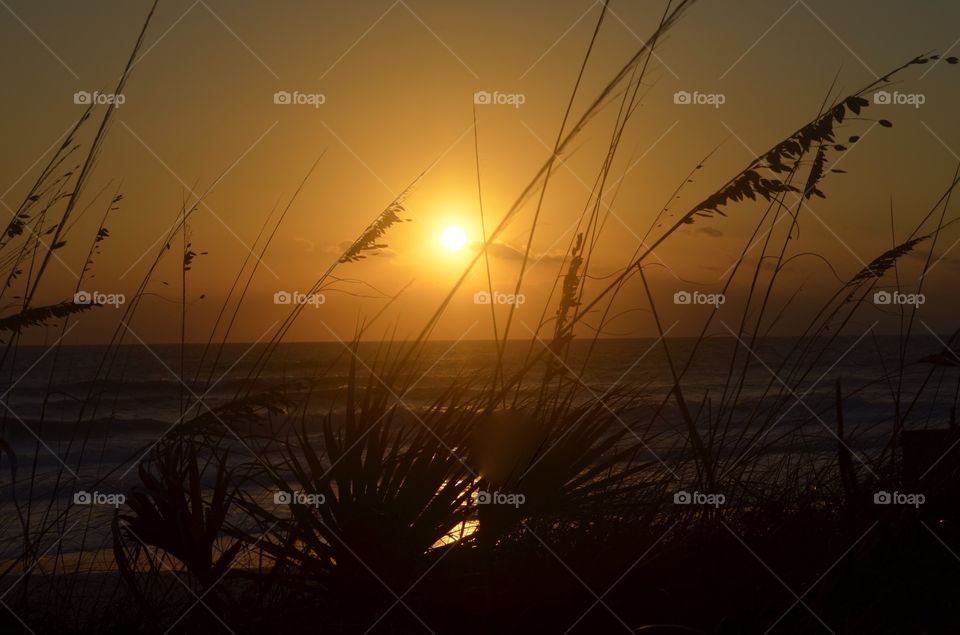 Scenic view of beach at sunset