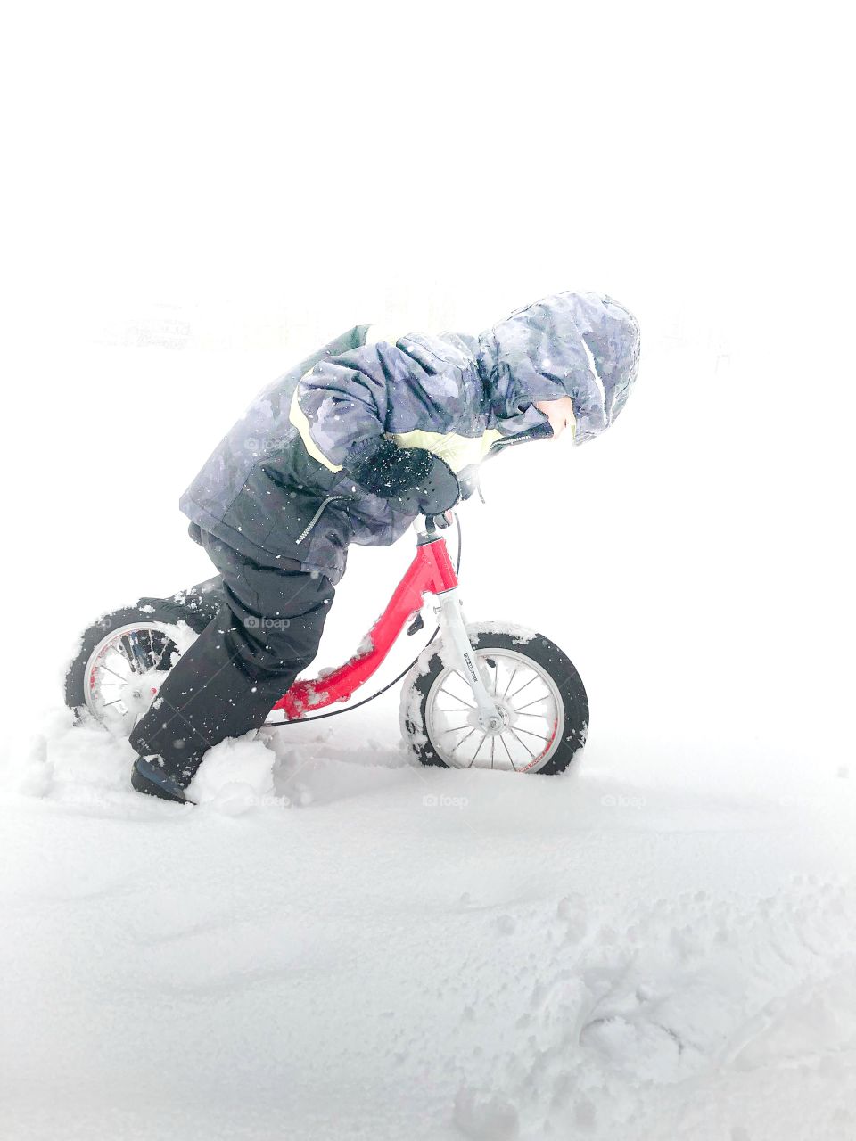 A determined boy rides his red bike in the snow. Nothing can stop him from doing his favorite activity. 