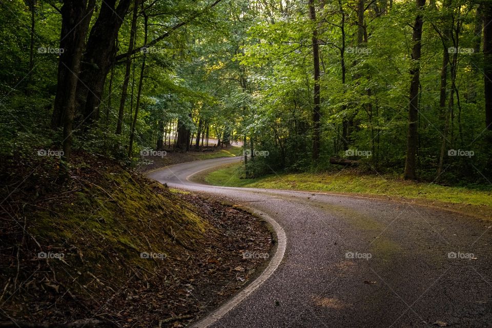 Grundy Lakes, Tracy City, Tennessee. 