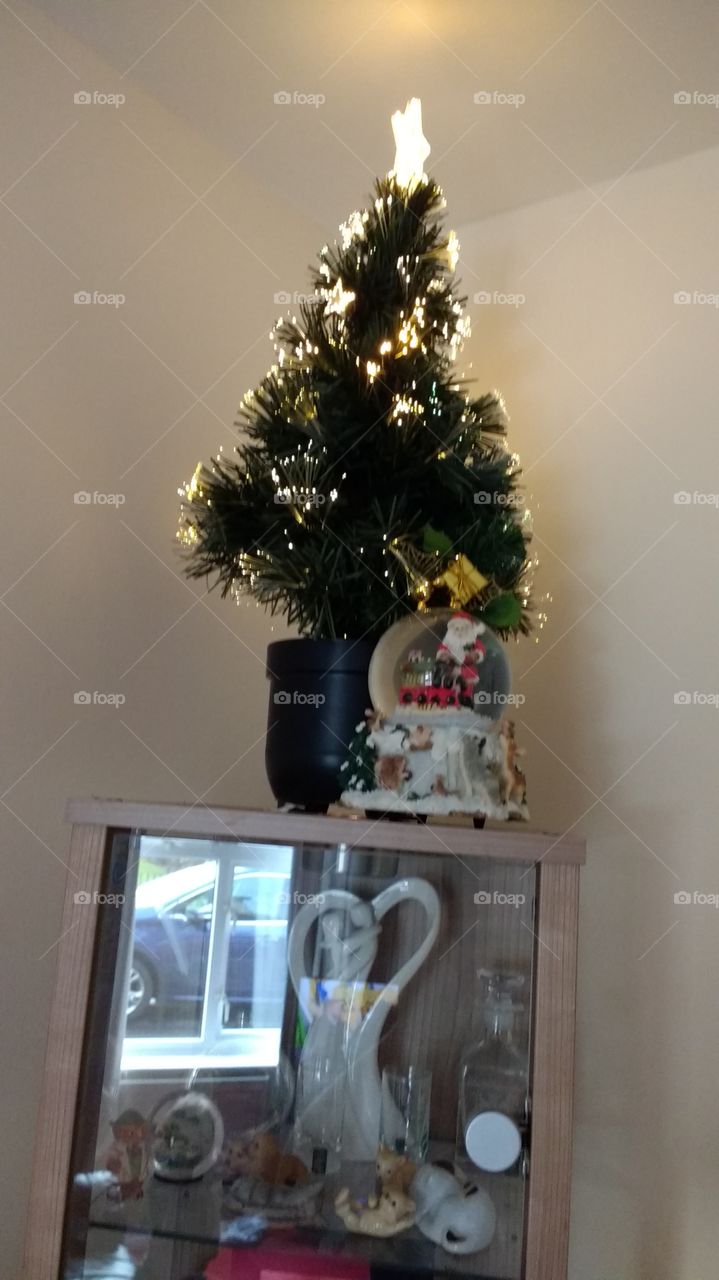 Mini Christmas tree and snow globe