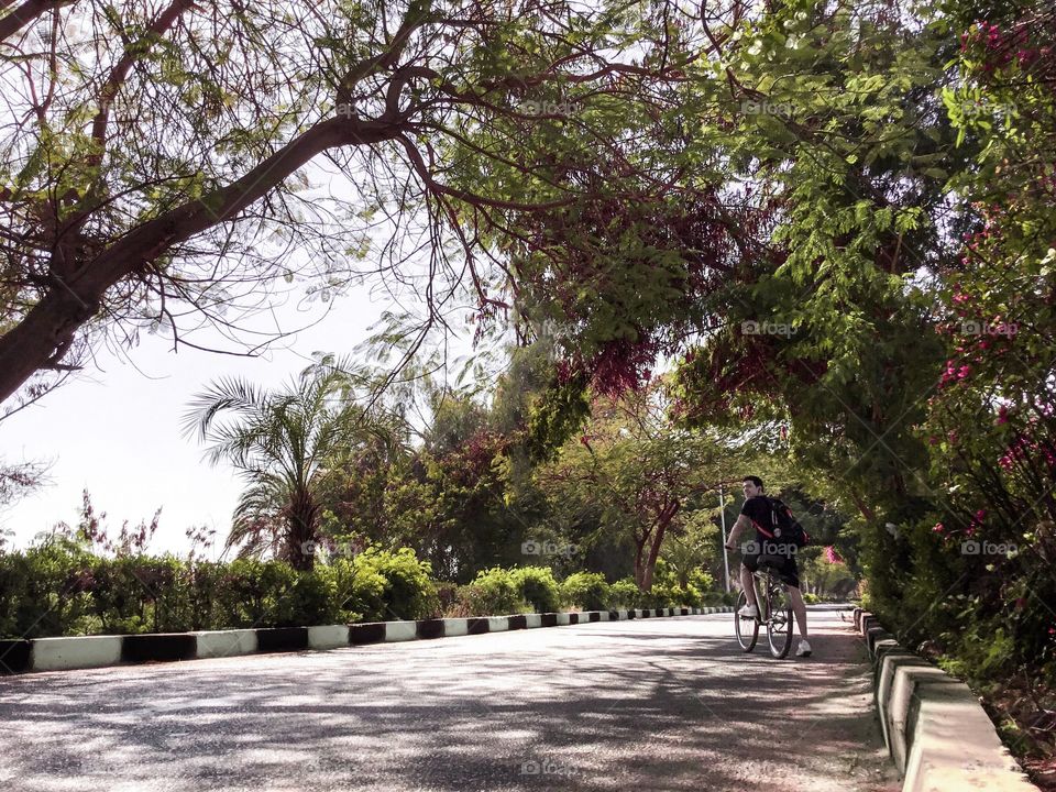 Riding bikes during spring in Egypt
