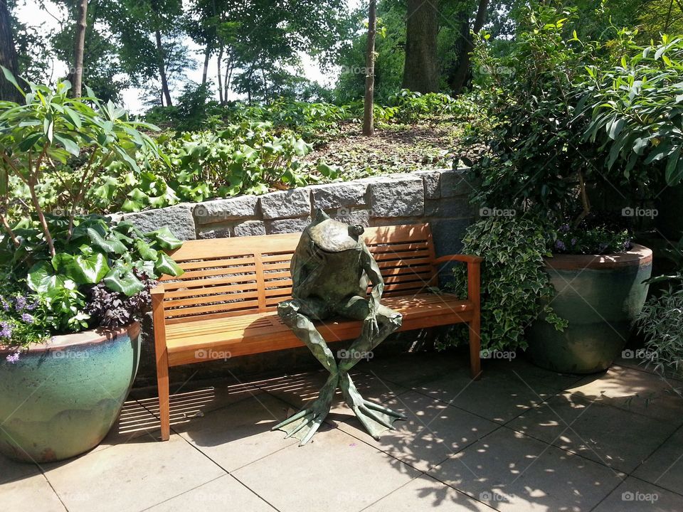The Thinker, Frog Edition. Atlanta Botanical Gardens June 2013