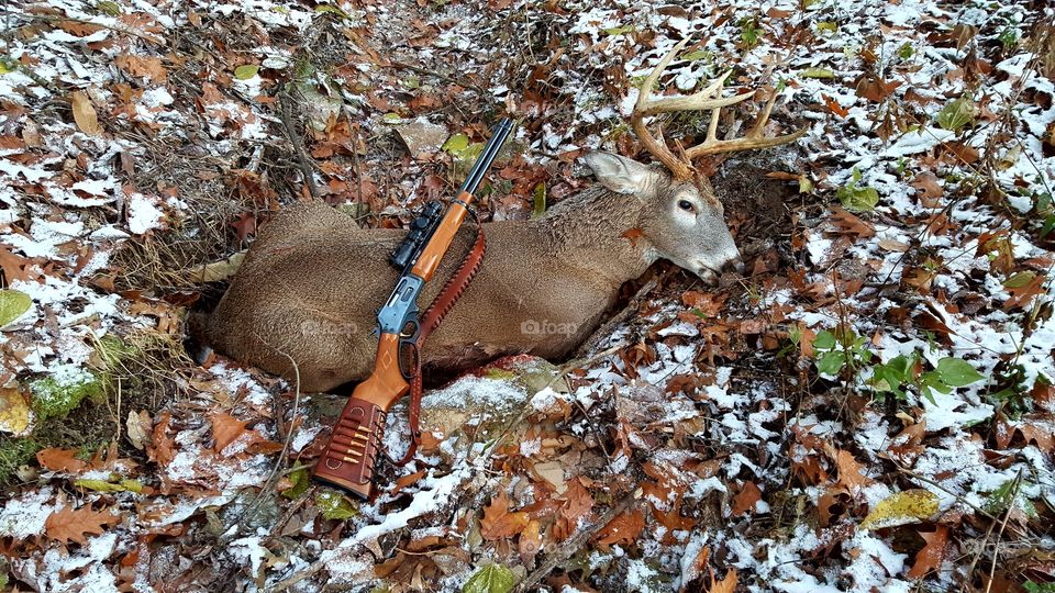 The Homestead Buck, opening day 2018 deer season, Marlin 30AW 30/30, lever action rifle