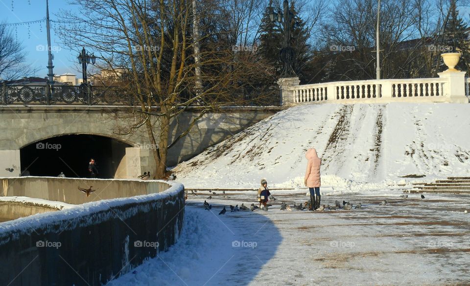 Winter, Snow, No Person, Cold, Ice