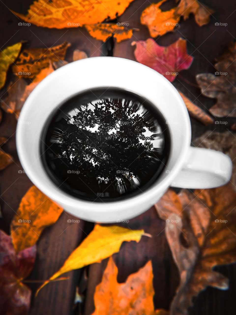 Fall autumn colors leafs crispy deck outdoors reflection reflecting liquid coffee cup rustic vibes autumnal equinox leaves colorful colors cool weather outdoors nature photography photo phone no people 