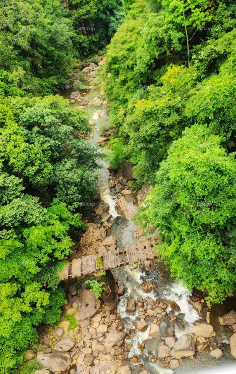 Captured from a moving train