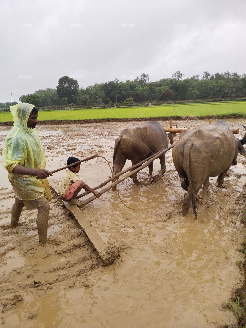 work in farm