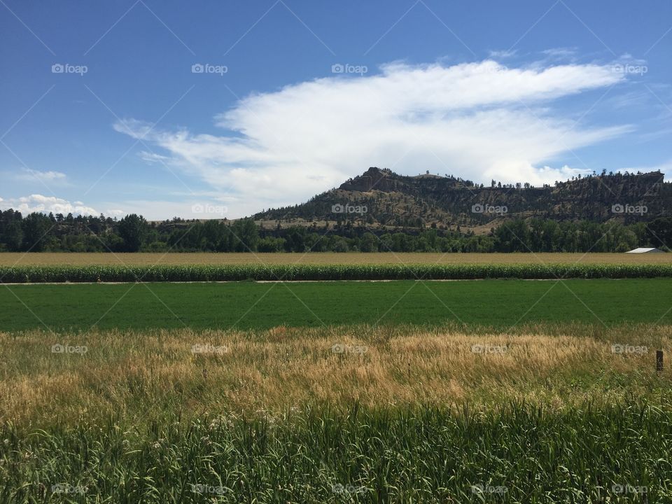 Agriculture, Landscape, No Person, Field, Farm