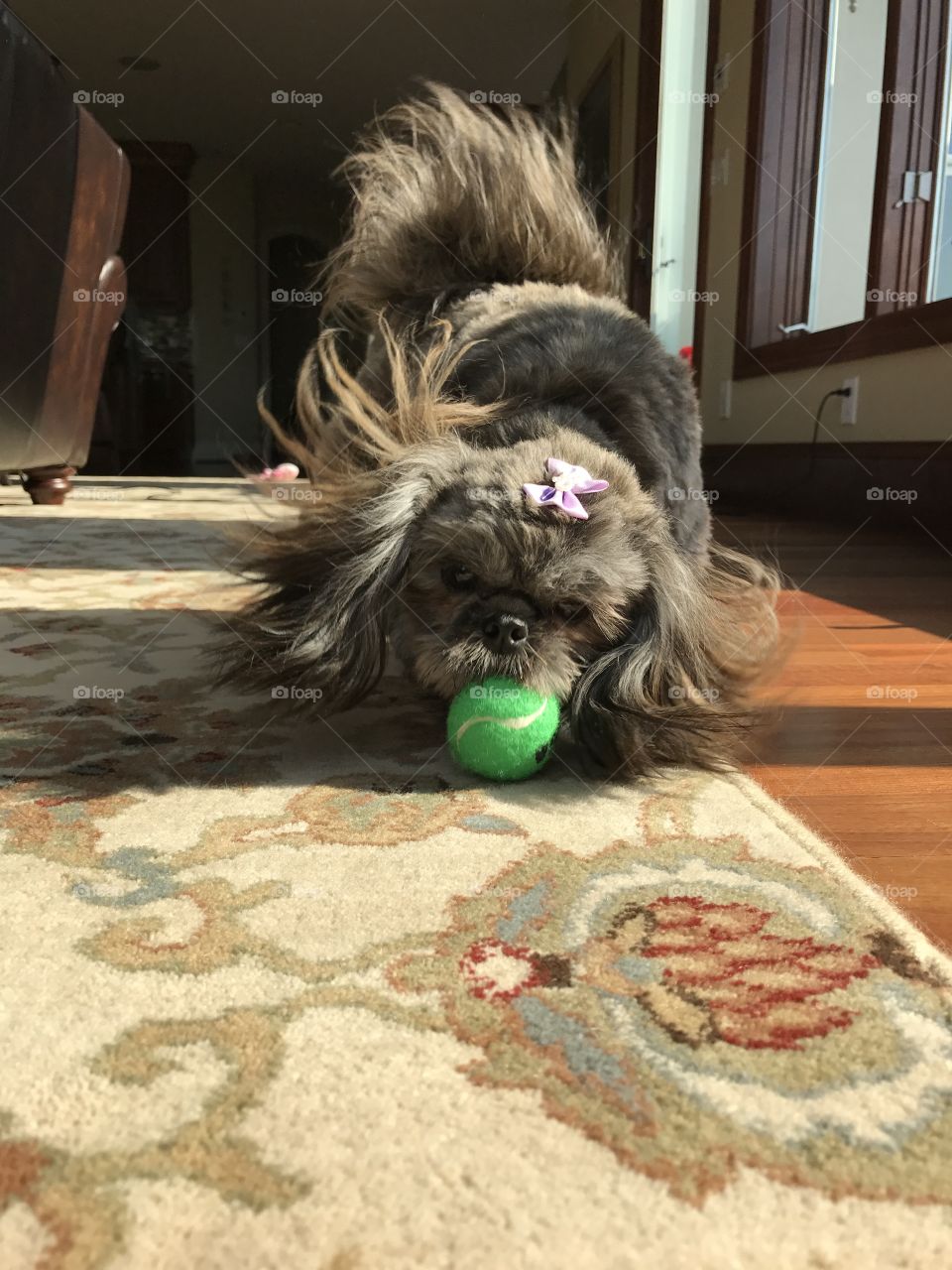Playing with ball!!