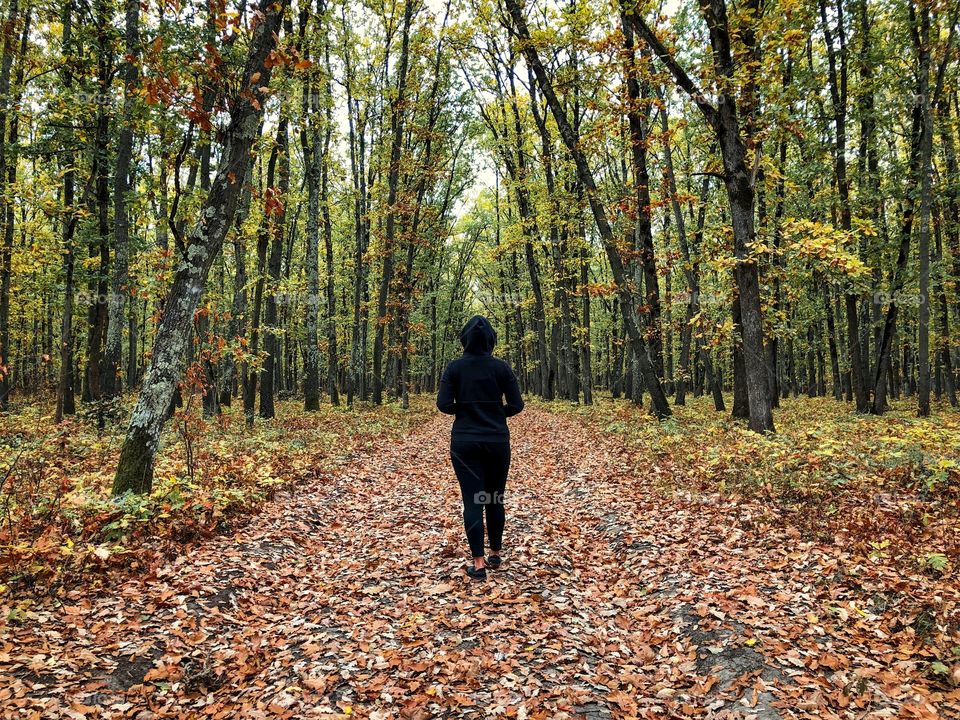 autumn walk