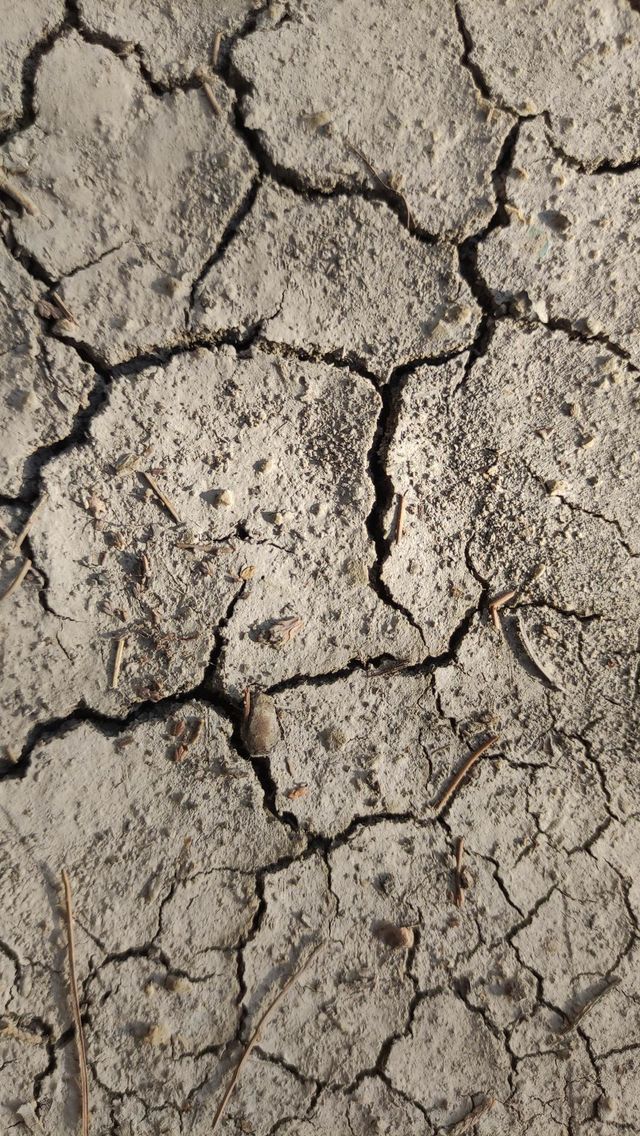 thirsty earth
