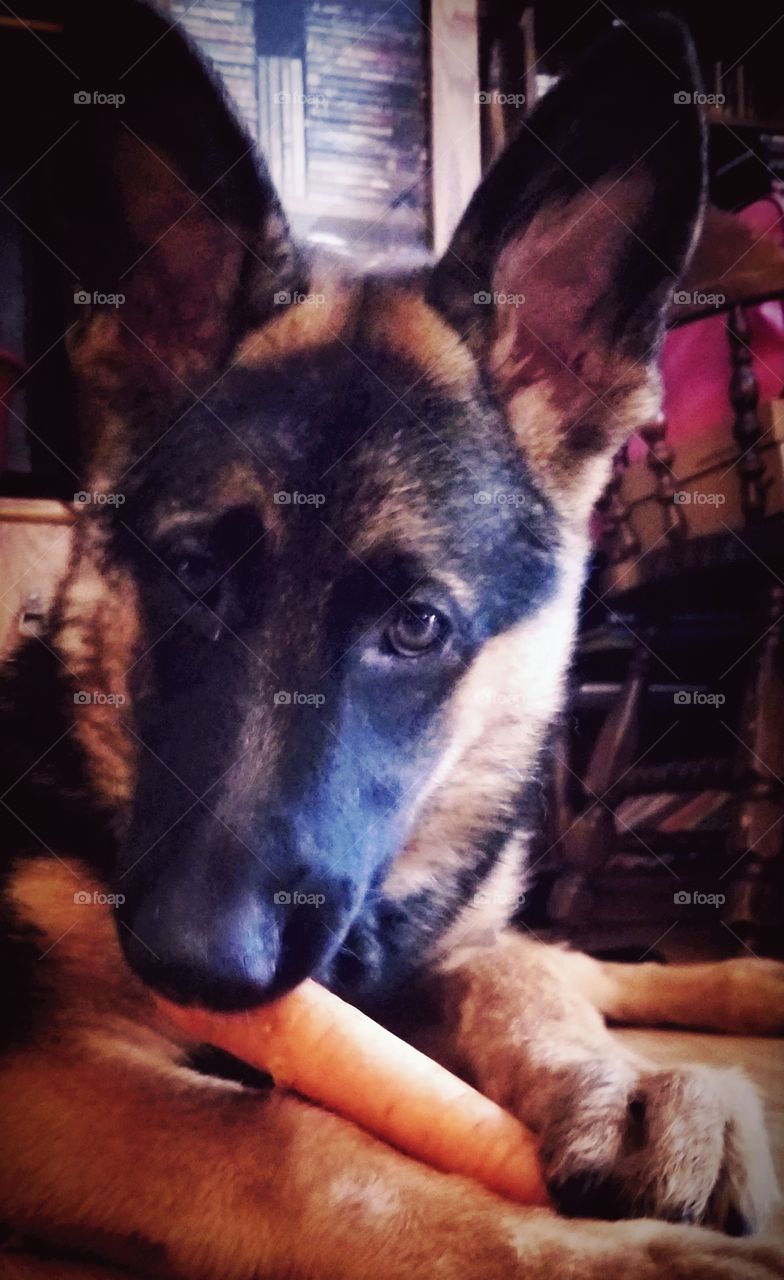 Eating my vegetables