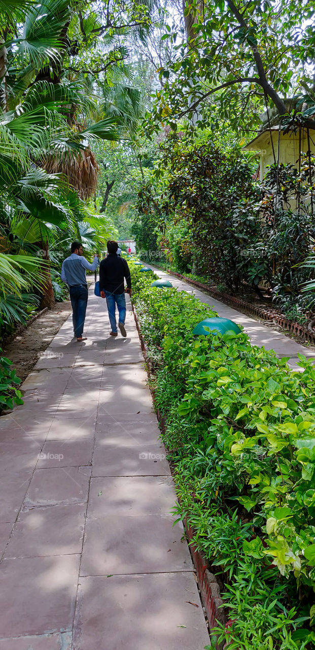 Morning walk in Nearby Botanical Garden