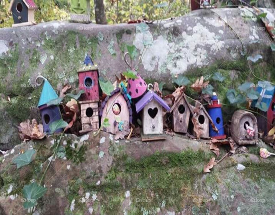 fairy bird houses