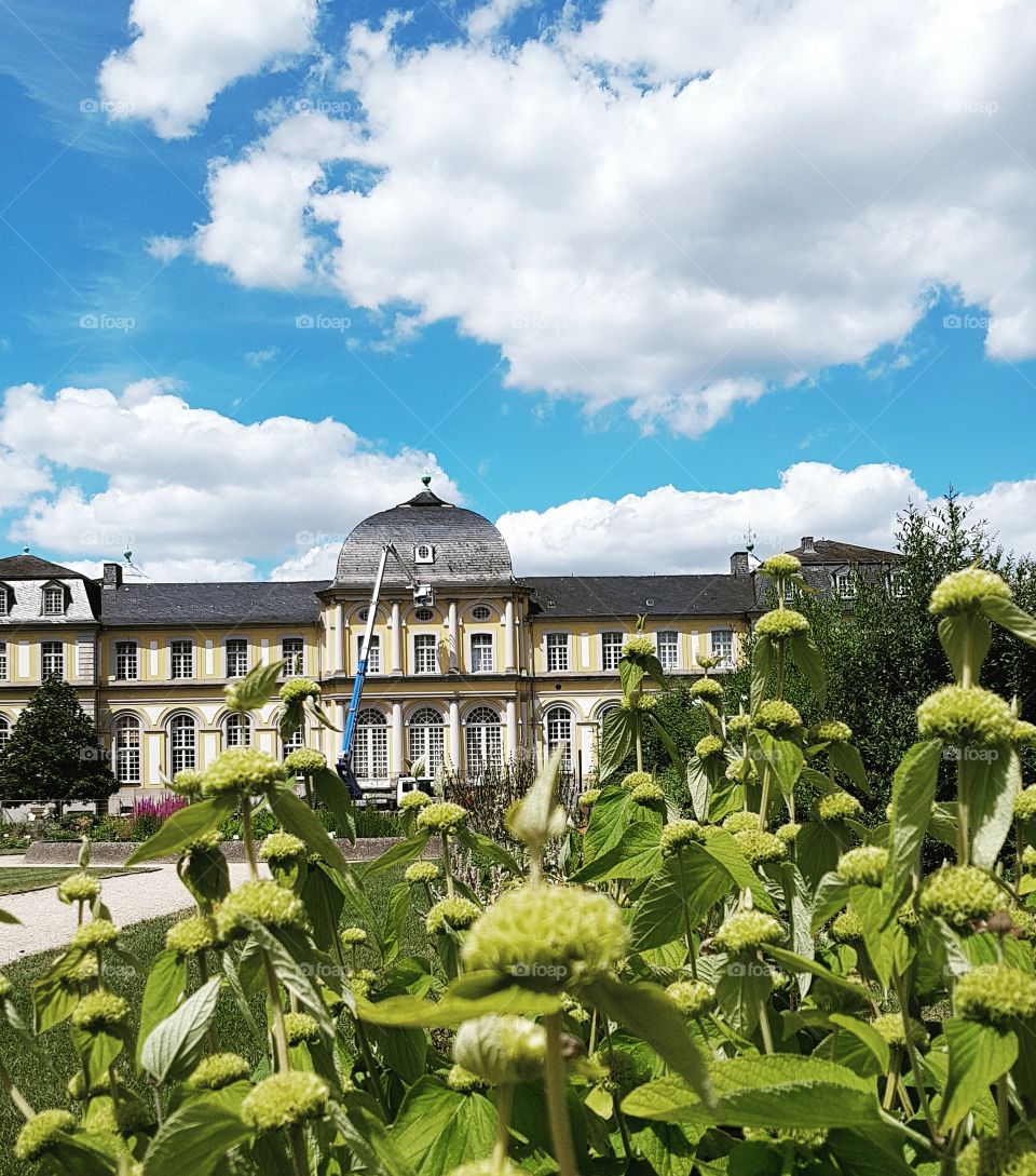 Botanischer Garten Bonn