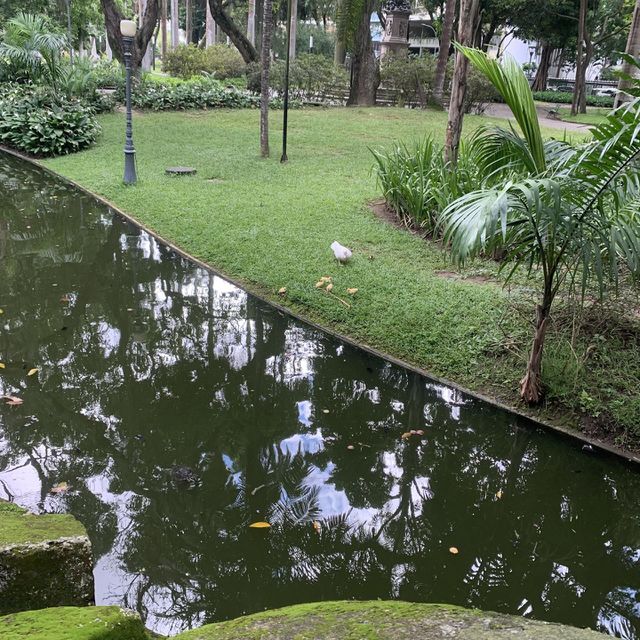 Paisagem 