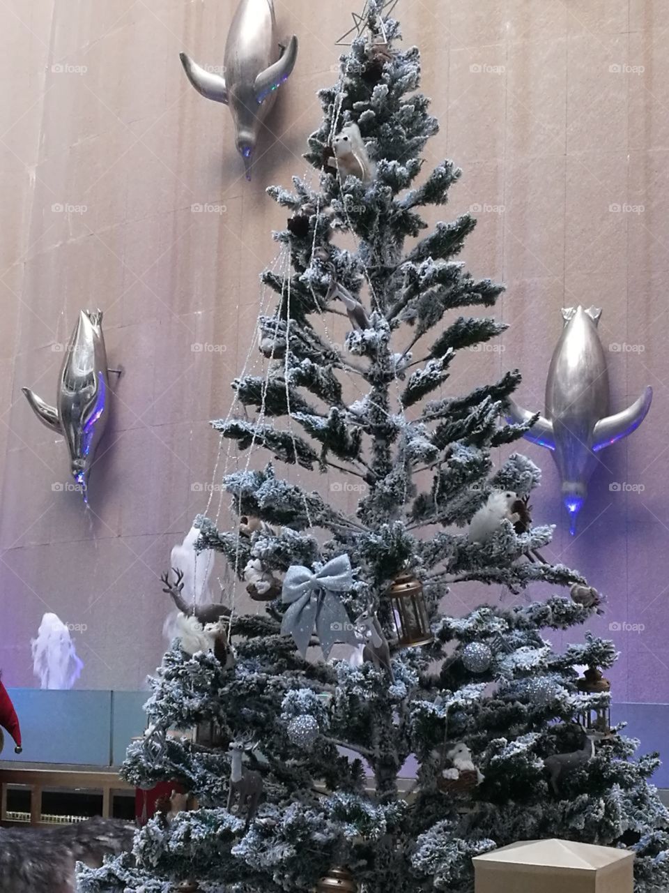 Winter, Christmas, Snow, Decoration, Pine