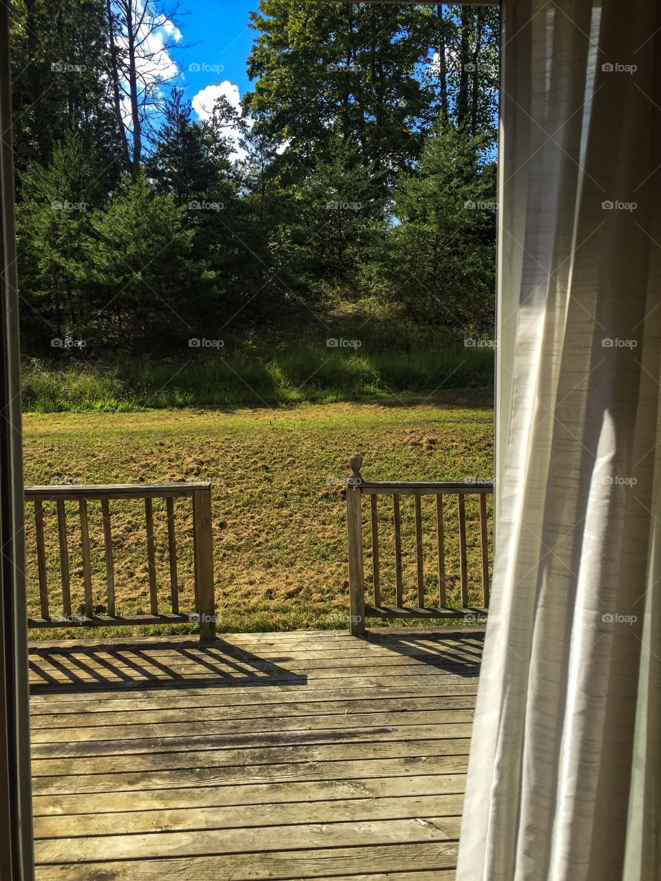 This photo was taken from the living room with the sliding door open. It's a picture of a back yard. The back yard has some trees in it. It's very green, with very blue skies. Taken with the iPhone 6 Plus. 