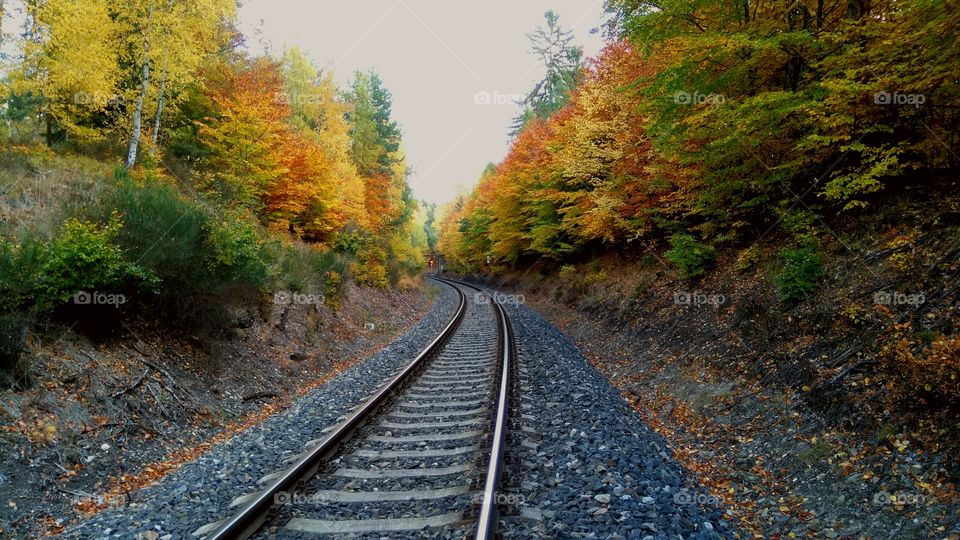 Autumn track