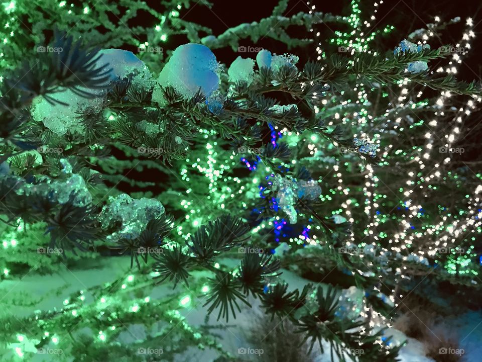 Christmas lights. Meridian Idaho. 