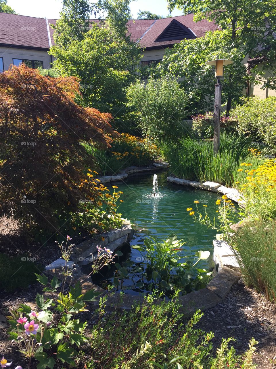 Garden Pond