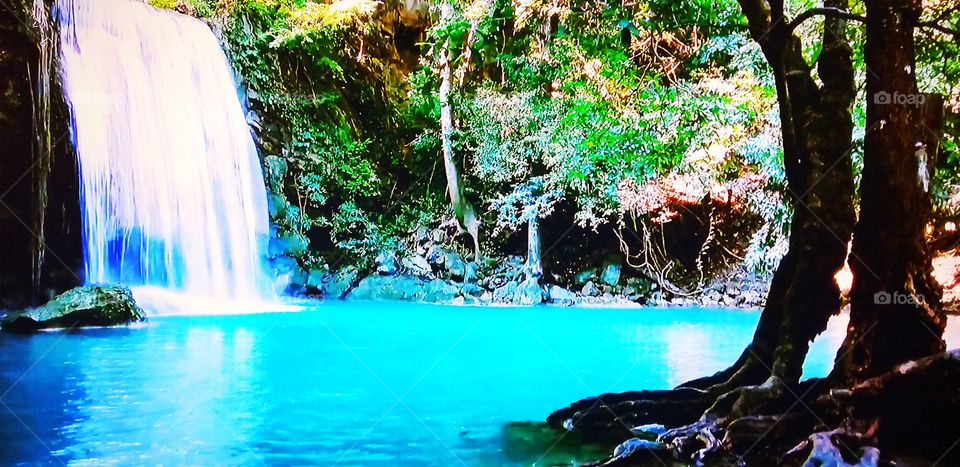 Paraíso muito lindo perece quantas estrelas