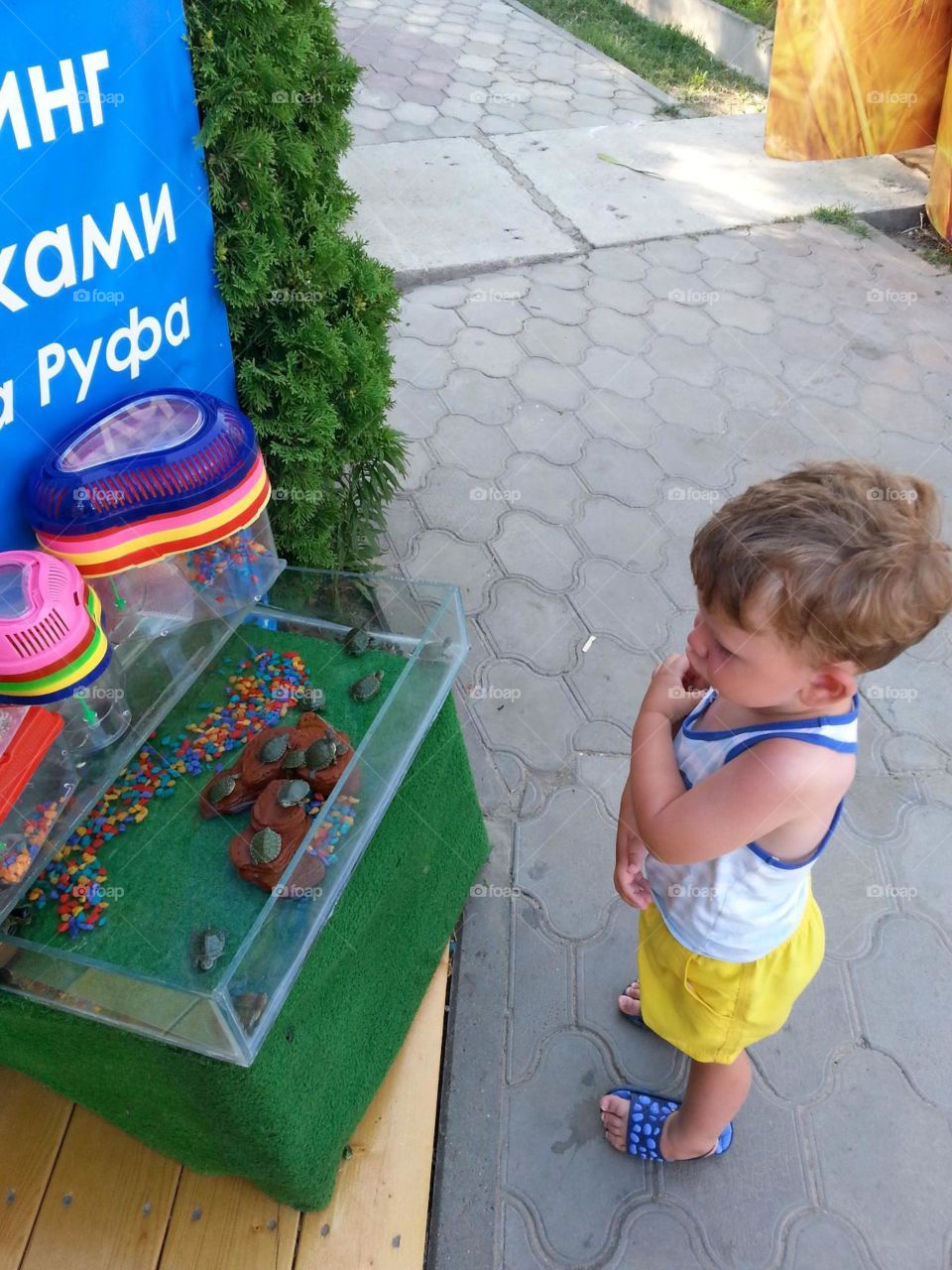 Что же это такое?