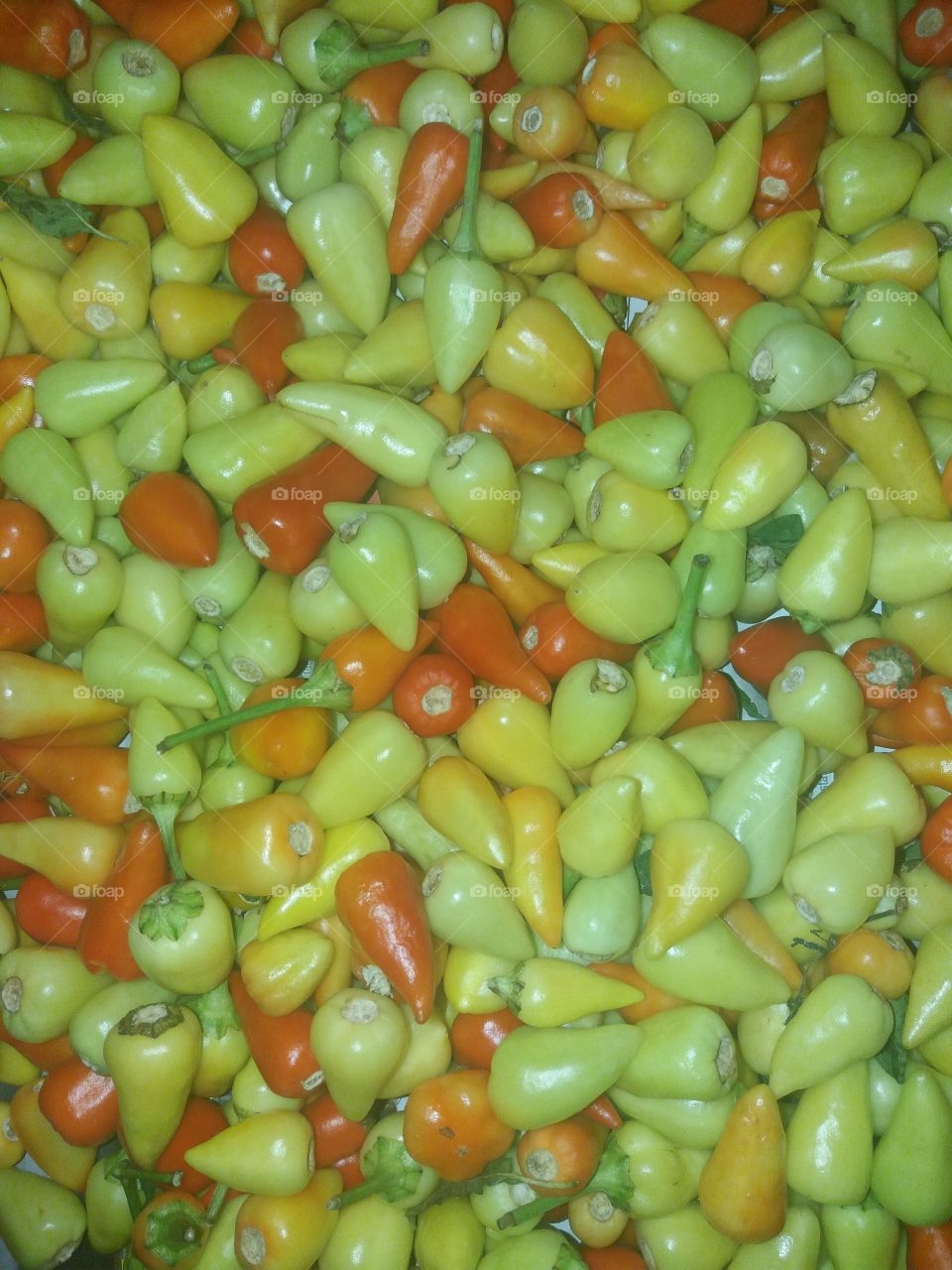 little hot peppers