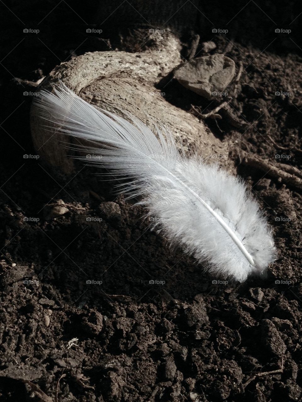 World in black and white