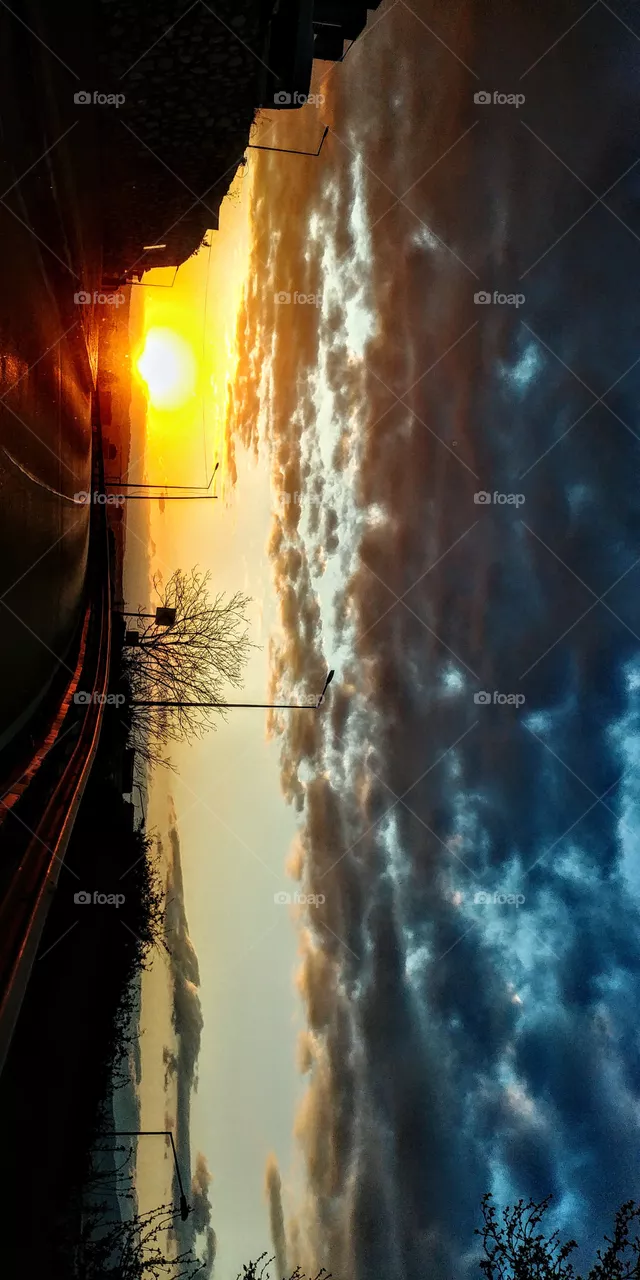 Sunset love.