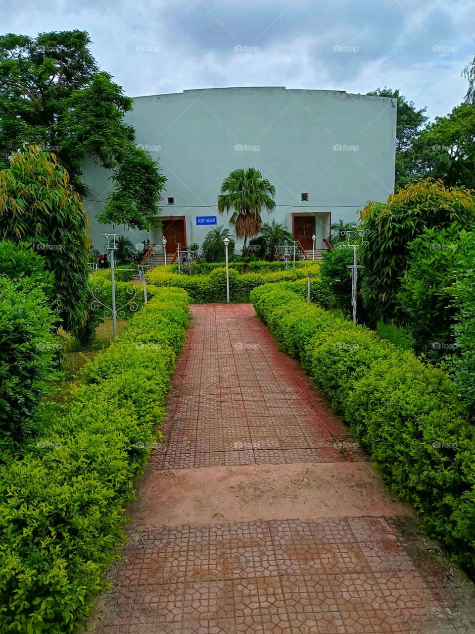 Wow, your surroundings look so serene and peaceful! It's like a secret garden path leading to a magical place. 🌿✨