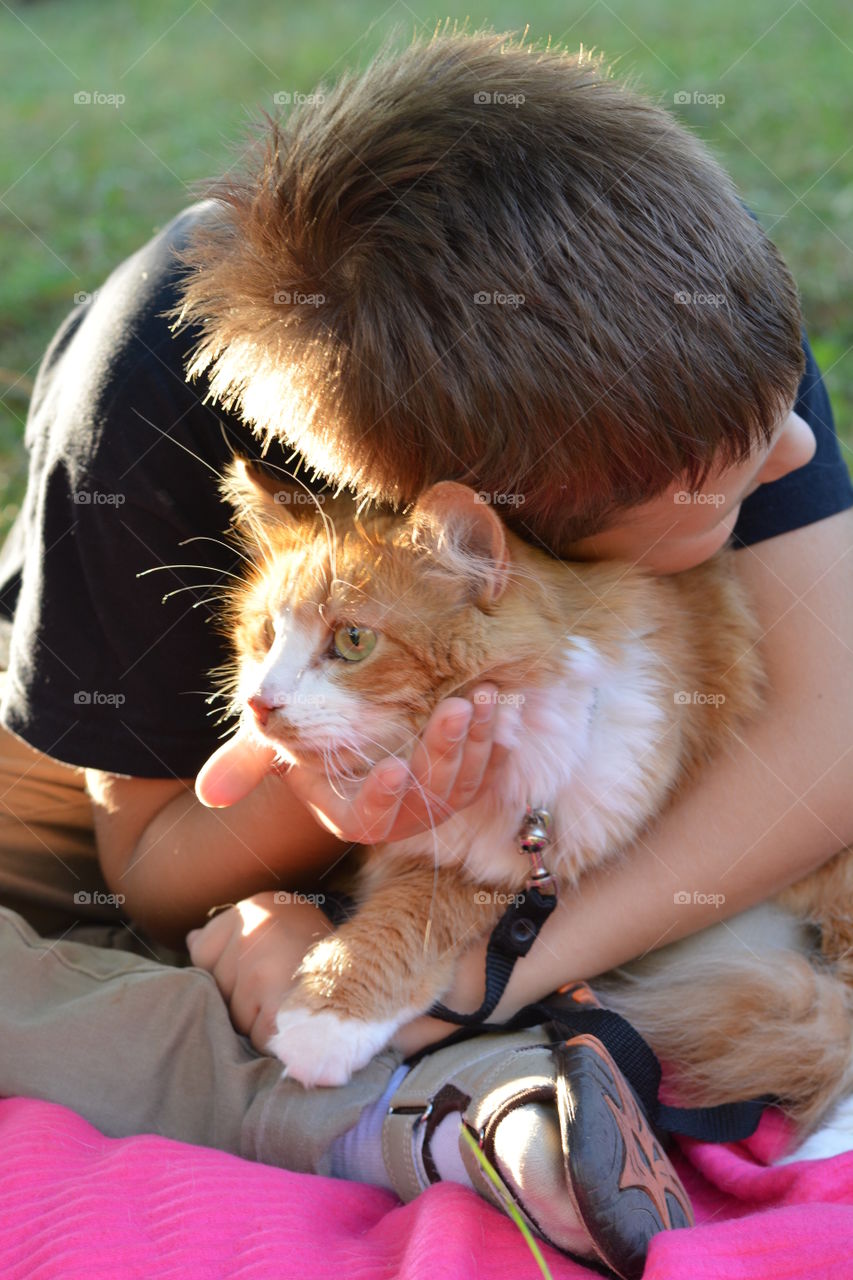 ginger cat on a hands child boy outdoor
