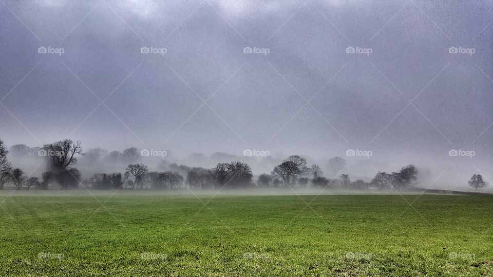 Misty morning in England