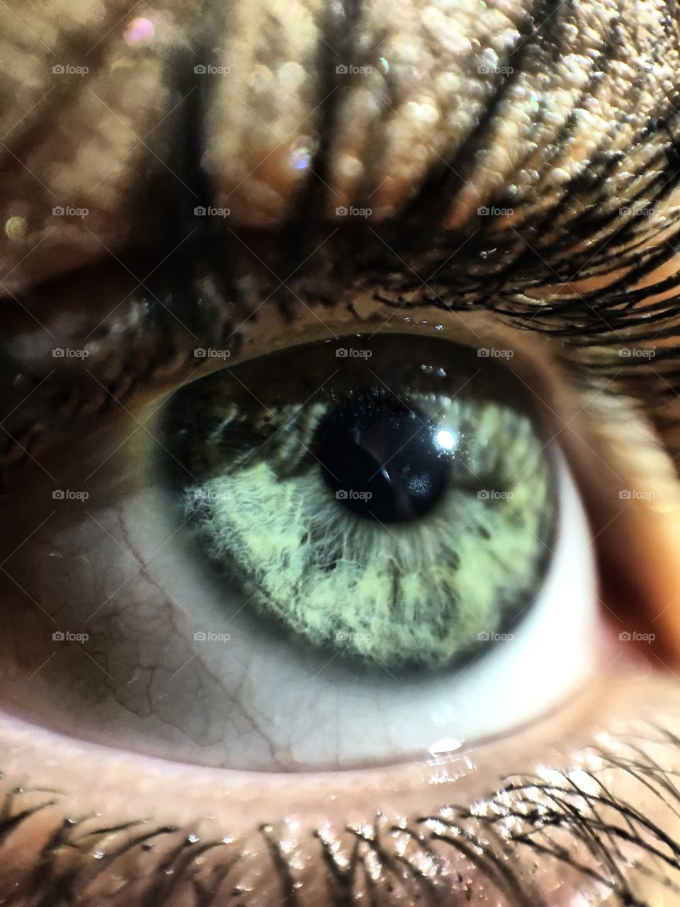 Green Eye