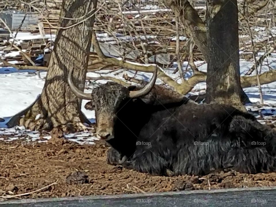 Driving the back Roads