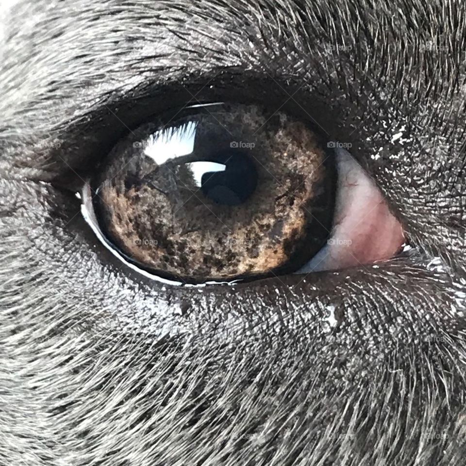 In the eye of Luna