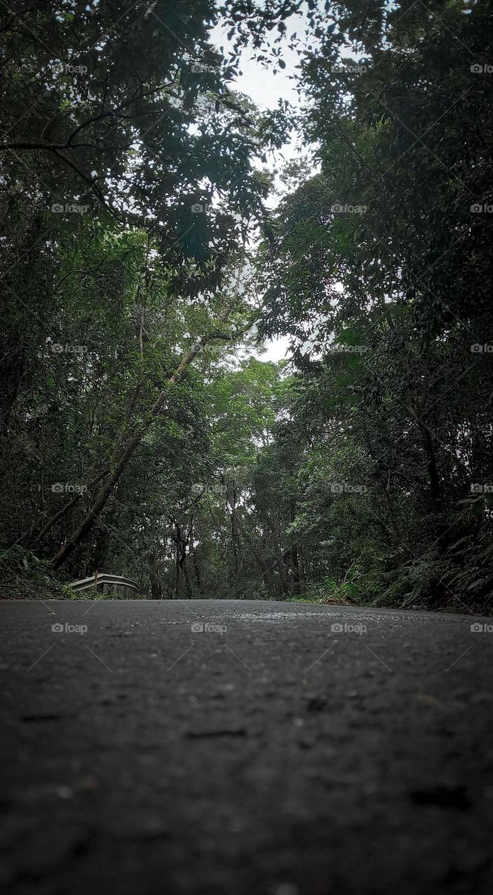 Kerala iduki road