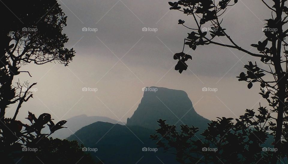 sri padhaya srilanka