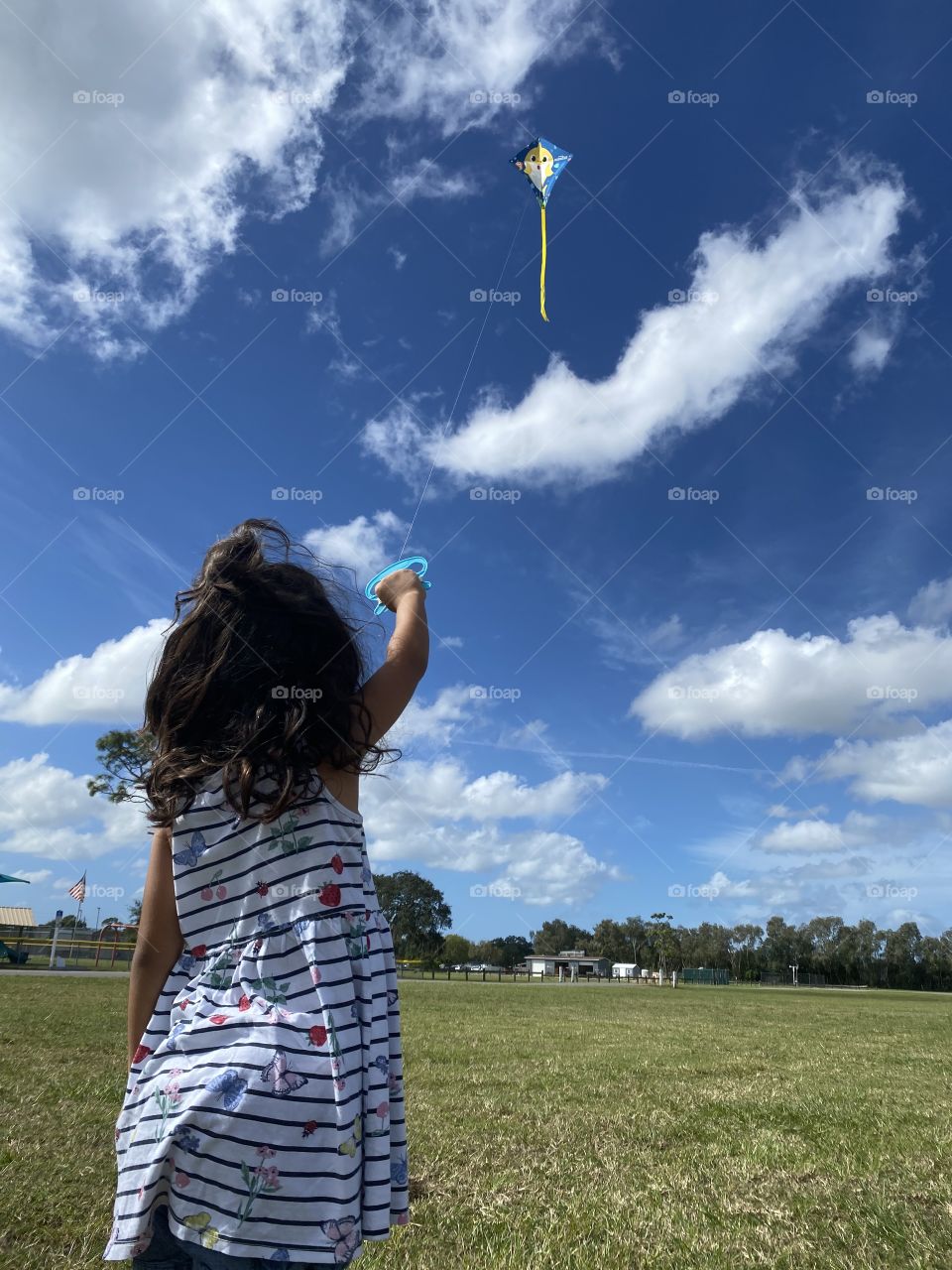 Kite flying days