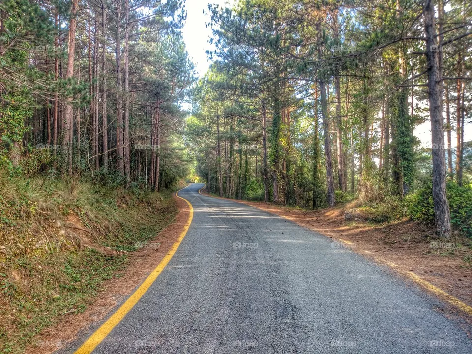 Road 