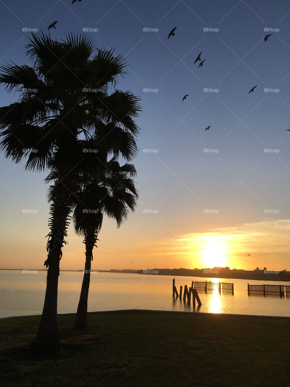 Beach, Sunset, Water, No Person, Sun