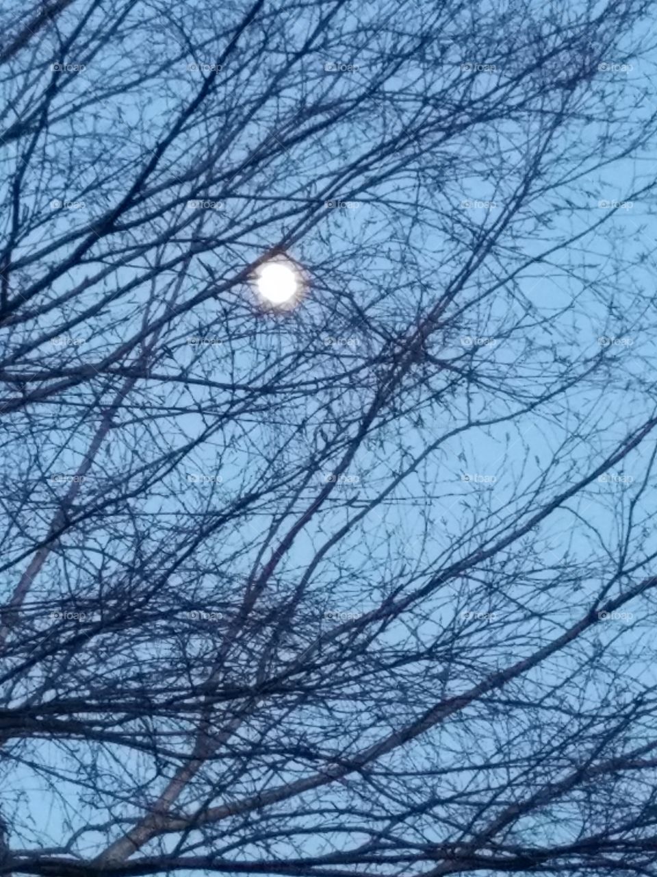 April 2018 Last Moon