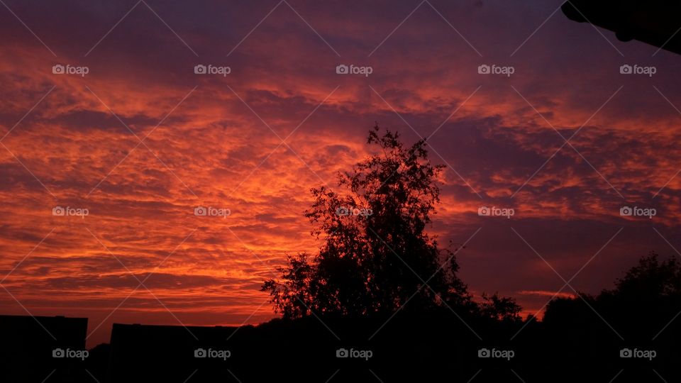 Sunset, No Person, Dawn, Evening, Dusk