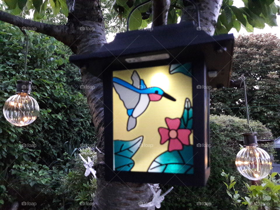 Bird lantern and solar lights hanging from a cherry tree