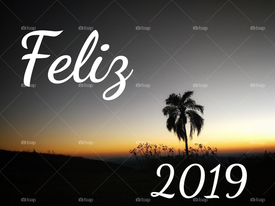 feliz 2019