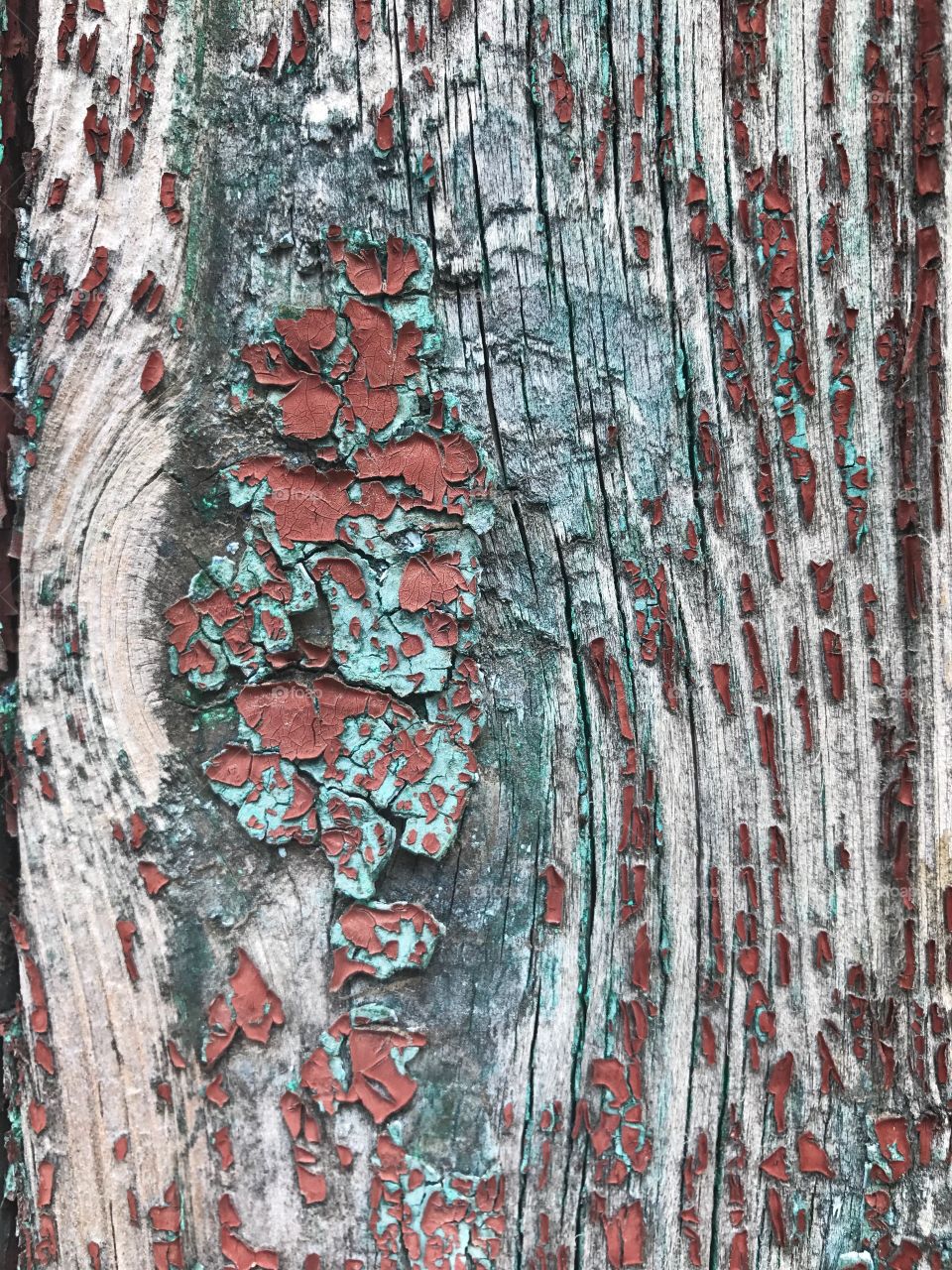 Full frame of weathered wood paint