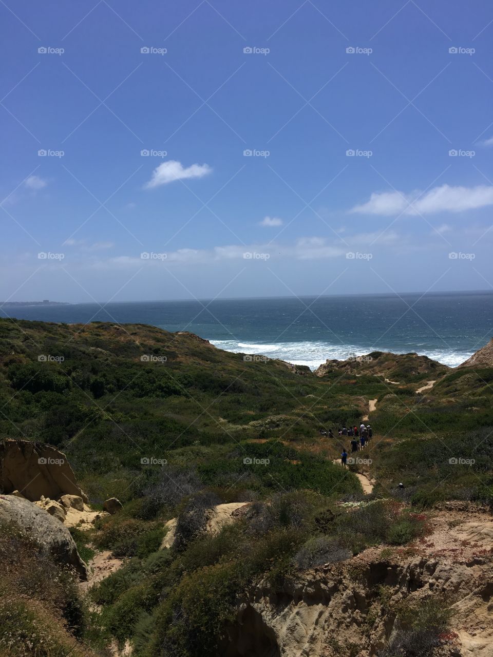 Torrey pines state park hike