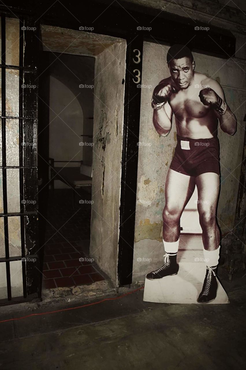 the boxer's cell